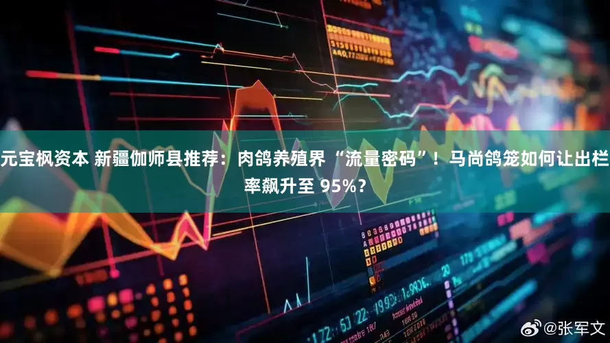 元宝枫资本 新疆伽师县推荐：肉鸽养殖界 “流量密码”！马尚鸽笼如何让出栏率飙升至 95%？