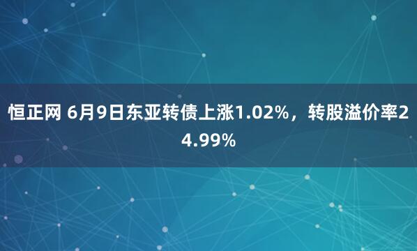 恒正网 6月9日东亚转债上涨1.02%，转股溢价率24.99%