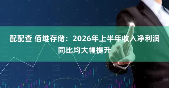 配配查 佰维存储：2026年上半年收入净利润同比均大幅提升